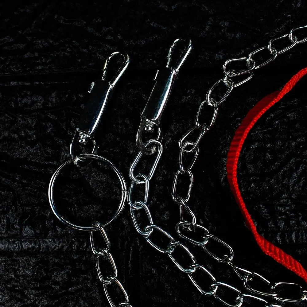 Iron Pet Chain Leash