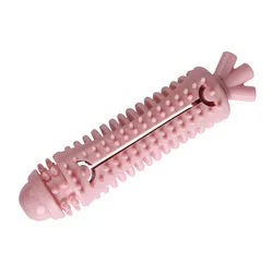 PAWS ASIA Suppliers Durable Eco TPR Carrot Sniff Treat Teeth Clean Barking Dog Chew Toys