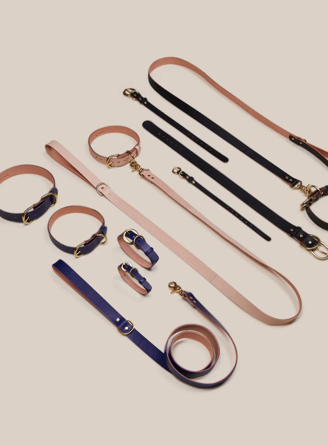 Pet Leash - Sabah Blue