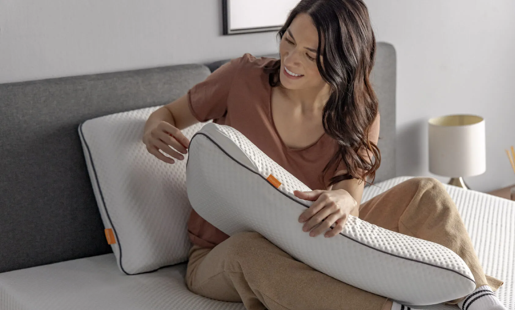 Premium Cooling Pillow