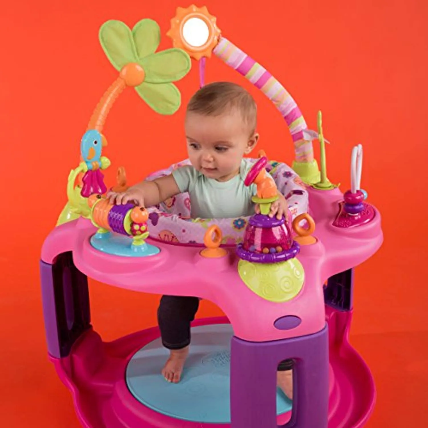 Sweet Safari Bounce-A-Round Entertainer