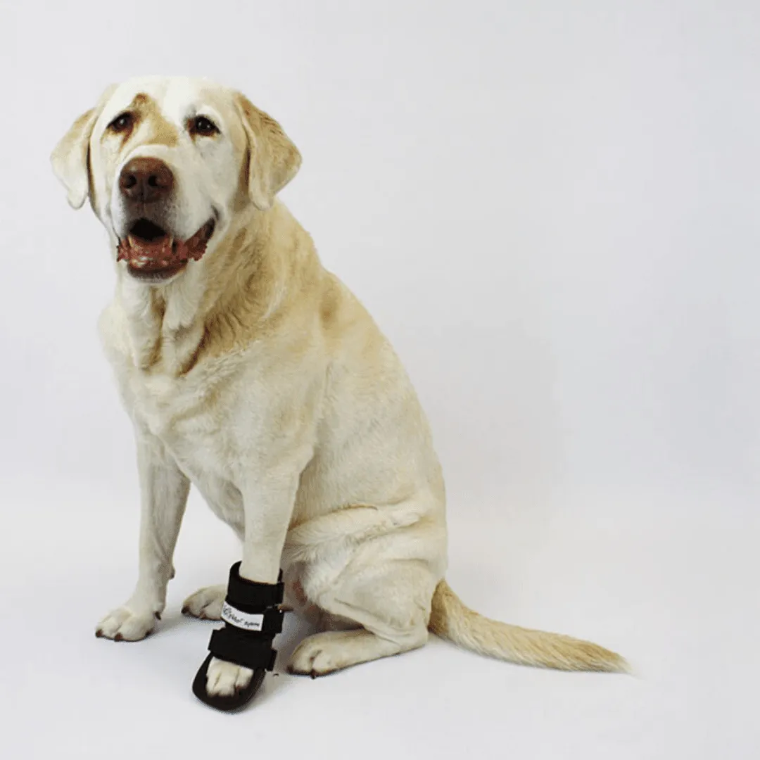 Walkin’ Bootie Dog Splint