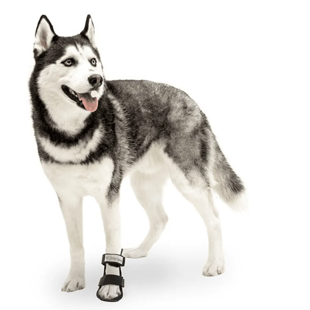 Walkin’ Bootie Dog Splint