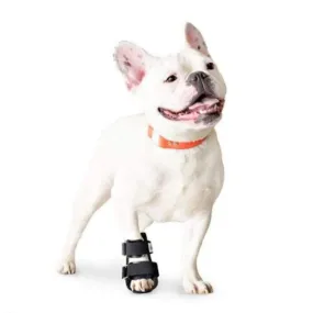 Walkin’ Bootie Dog Splint